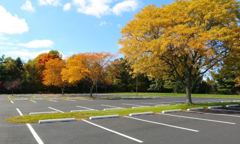 How Often Should a Parking Lot Get Restriped?